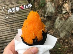 -宁波浙东大竹海景区