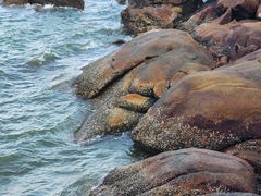 -那琴半岛地质海洋公园