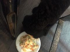 百好乐比萨-百好乐宠物友好餐厅(朝外大街店)