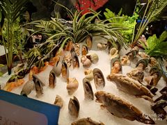 -喜庭海鲜自助(北辰三角洲北辰荟店)