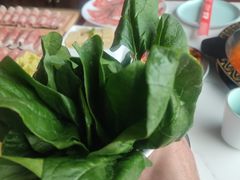 -尚品火锅(正阳路店)