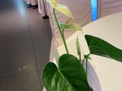 -眉州东坡(通州店)