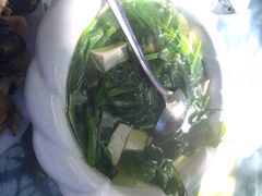豌豆尖豆腐汤-海韵人家.海景花园经典云南菜(双廊店)