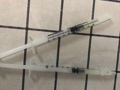 -顺强宠物诊所·狂犬免疫·夜诊·骨科(嘉定店)