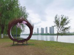 -长白岛森林公园