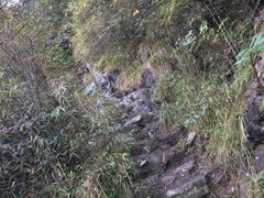 -九峰山