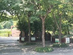 -陈家山荷花公园