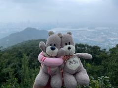-紫金山山顶公园