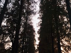 -东湖磨山景区