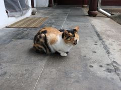 -西园戒幢律寺