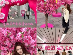 -金茂览秀城