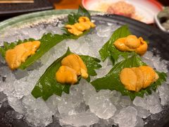 -月龍吟(朝龙汇店)