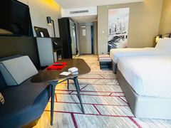 -新加坡瑞士史丹福酒店