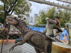 -海合安武汉极地海洋公园