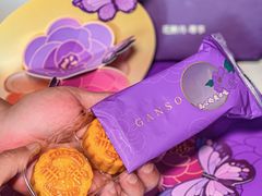 -GANSO元祖食品(沪青平店)