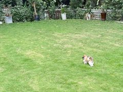 -里堂派对·独栋团建聚会小院轰趴馆(三圣乡店)