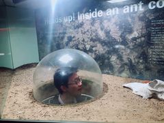 -墨尔本博物馆(Melbourne Museum)