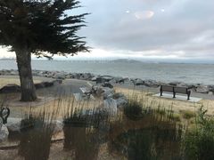 -香港东海海鲜酒家