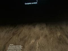 -墨尔本博物馆(Melbourne Museum)
