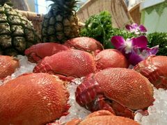 -西安高新希尔顿酒店·咖啡露台西餐厅
