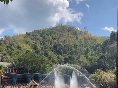 -西双版纳原始森林公园