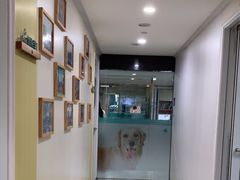 -谐和贝康宠物医院24小时·宠保定点(急重症转诊中心)