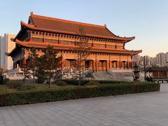 -药王庙(安国市)
