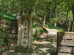 -莫干山风景区