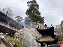 -潭柘寺景区