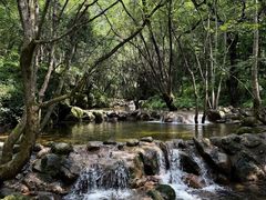 -牛背梁国家森林公园