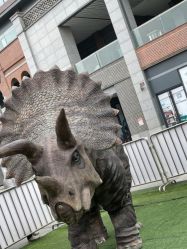 -恐龙探索乐园(磁器口店)