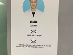 -申普宠物医院·心脏介入·心血管微创(总院)