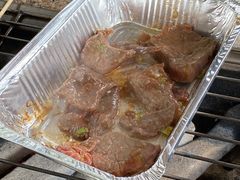 -吴淞炮台湾湿地森林公园烧烤区