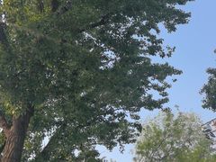 -绿堤公园