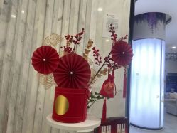 -上海漾颜医疗美容