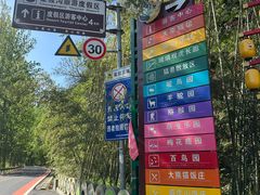 -栾川竹海野生动物园