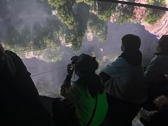 -中国湿地博物馆