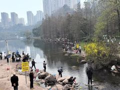 -重庆彩云湖湿地公园
