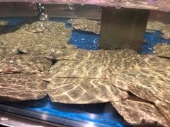 -盒马鲜生(顺义店)