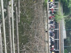 -韶山毛泽东同志故居