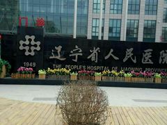 -辽宁省人民医院