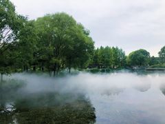 -郑州植物园