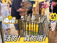 -凯德MALL(西直门店)