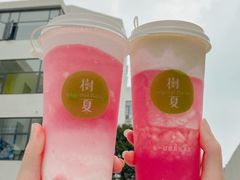 -树夏(建设路店)