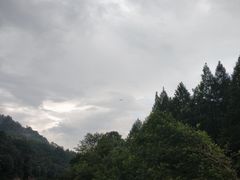 -武夷山风景名胜区-玉女峰