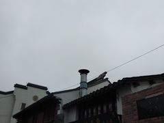 -七宝老街臭豆腐