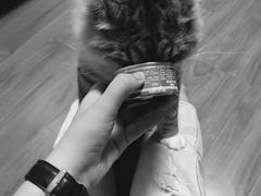 -艾贝尔宠物医院·24H转诊中心·肿瘤猫专科(江宁双龙店)