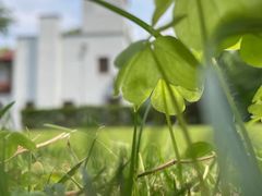 -上海虹桥迎宾馆