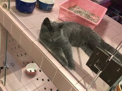-FAELING PETS美天灵宠物(富力广场店)