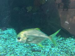 -鸿通城购物中心